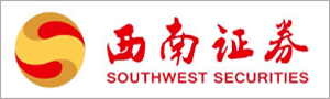  深圳巅峰国际数据科技有限公司