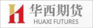  深圳巅峰国际数据科技有限公司